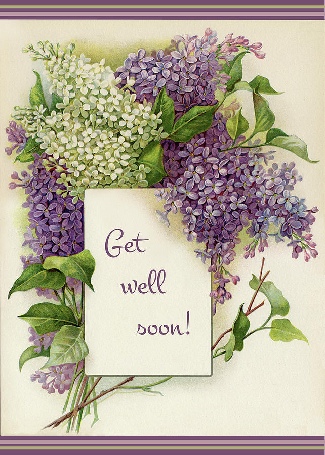 Image result for get well lilacs