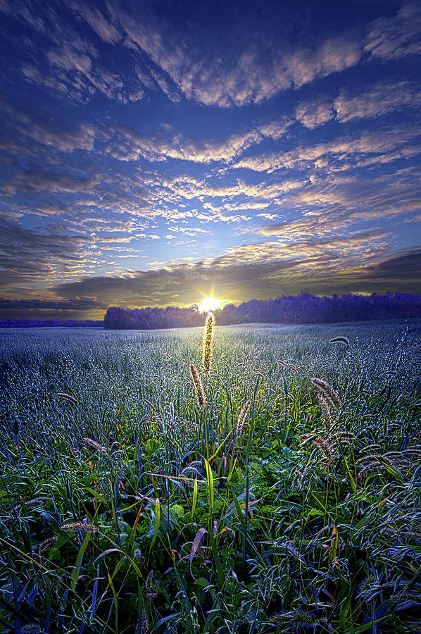 Getting Closer Every Day Photograph by Phil Koch