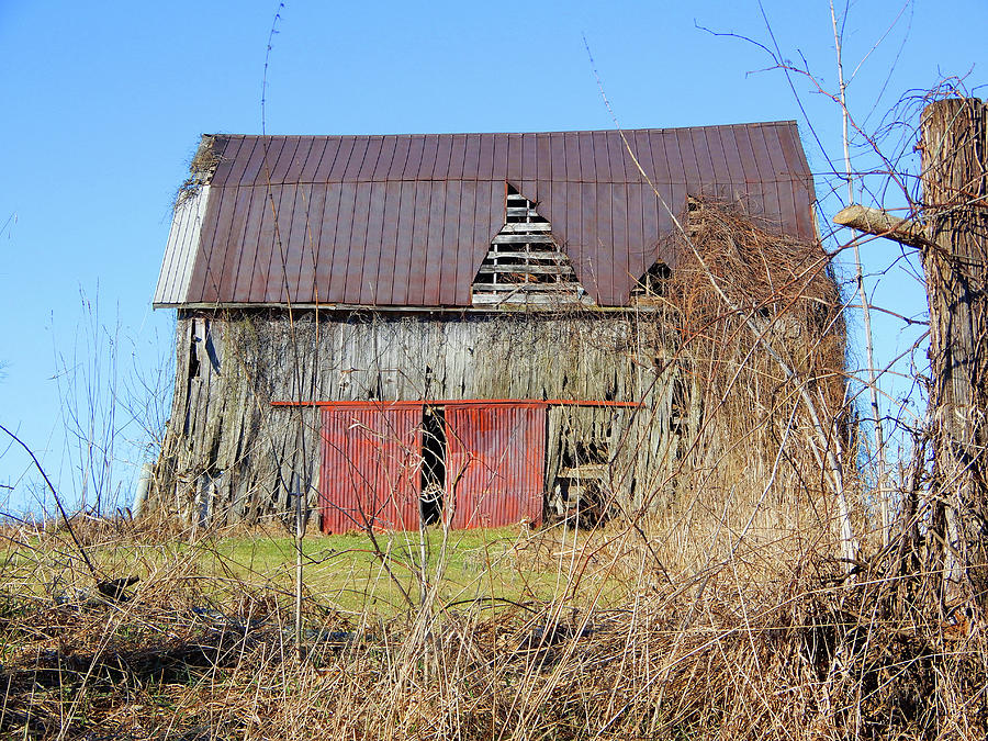 Barn Photograph - Getting Very Old by Tina M Wenger