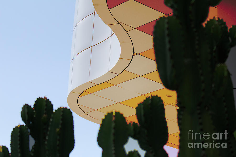 Getty Architecture Cactus Color Curves  Photograph by Chuck Kuhn