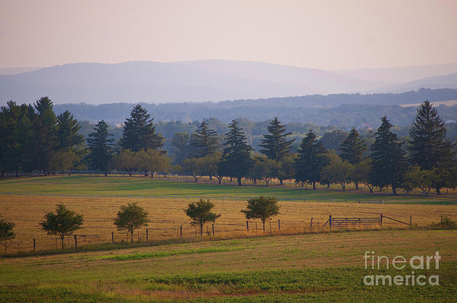 Gettysburg summer evening Photograph by David Nicholson - Fine Art America