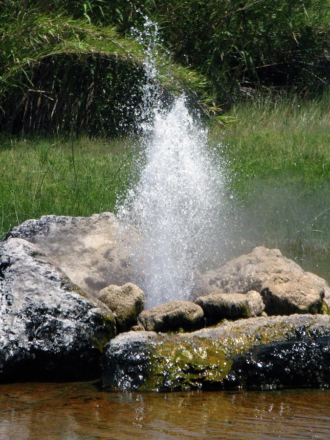 Geyser 1 Photograph by Pauline Darrow - Pixels