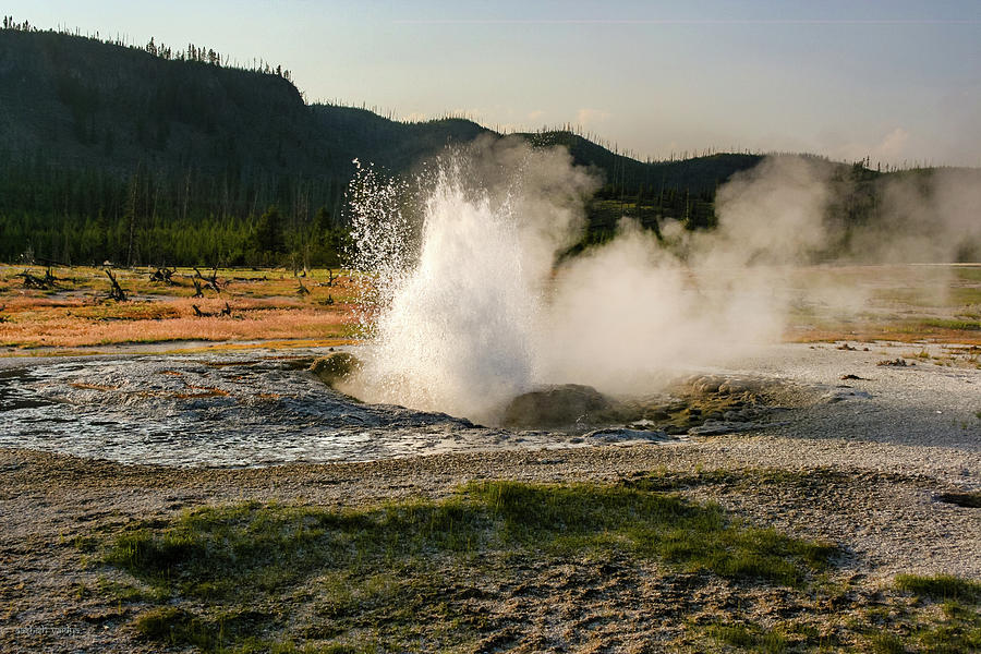 Geyser at Sunset, Yellowstone Photograph by Aashish Vaidya | Fine Art ...