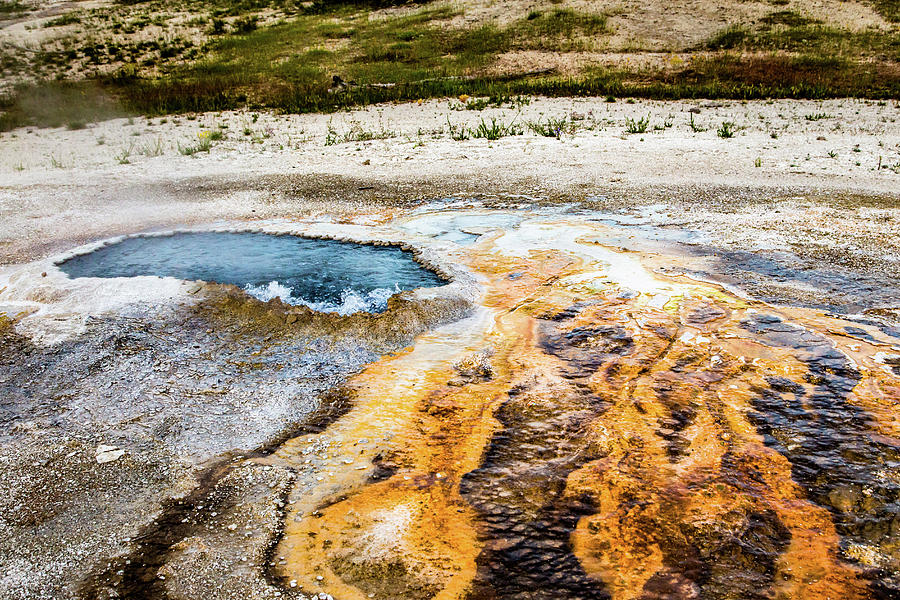 Geyser with a Fishtail  Photograph by Lisa Lemmons-Powers