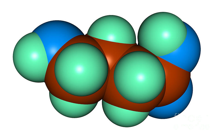 Ghb Molecular Model Photograph by Scimat