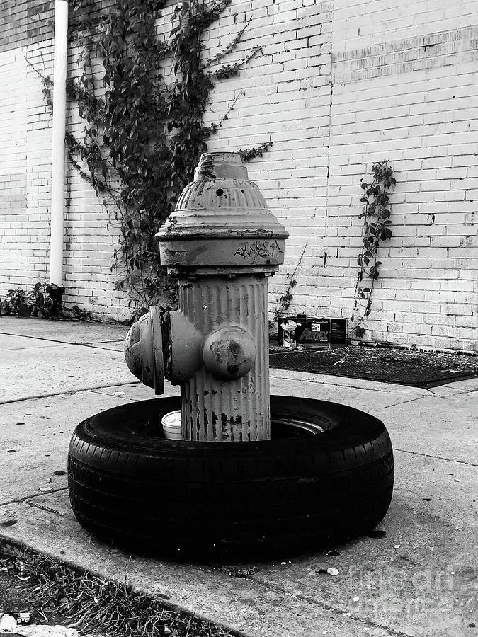Ghetto Fire  Hydrant Photograph by Gerald Kloss