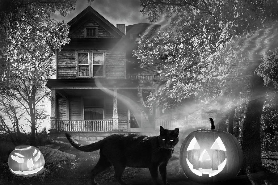 Ghost at Halloween in Black and White Photograph by Debra and Dave Vanderlaan