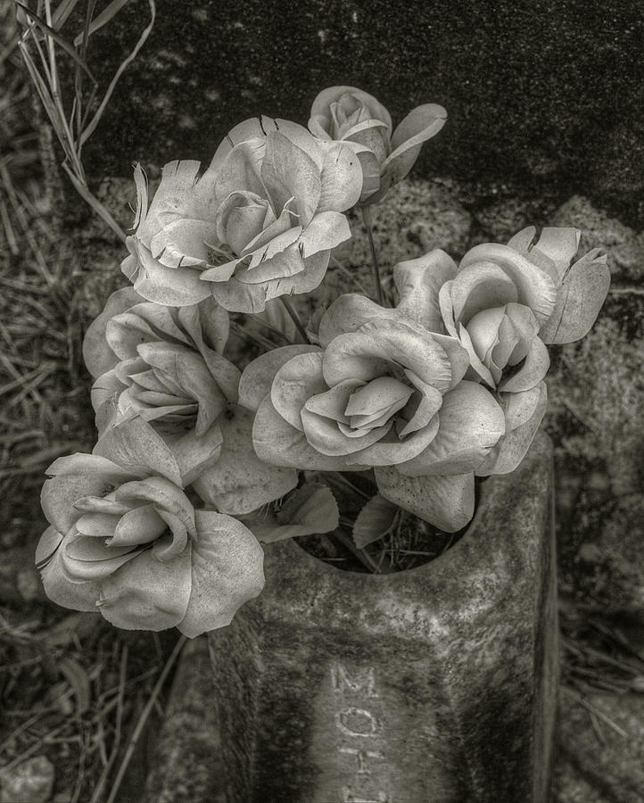 Ghost Bouquet Photograph by Michael Kirk