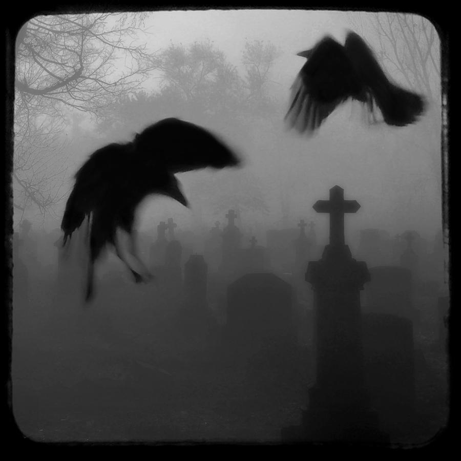 Black And White Photograph - Ghost Crows by Gothicrow Images
