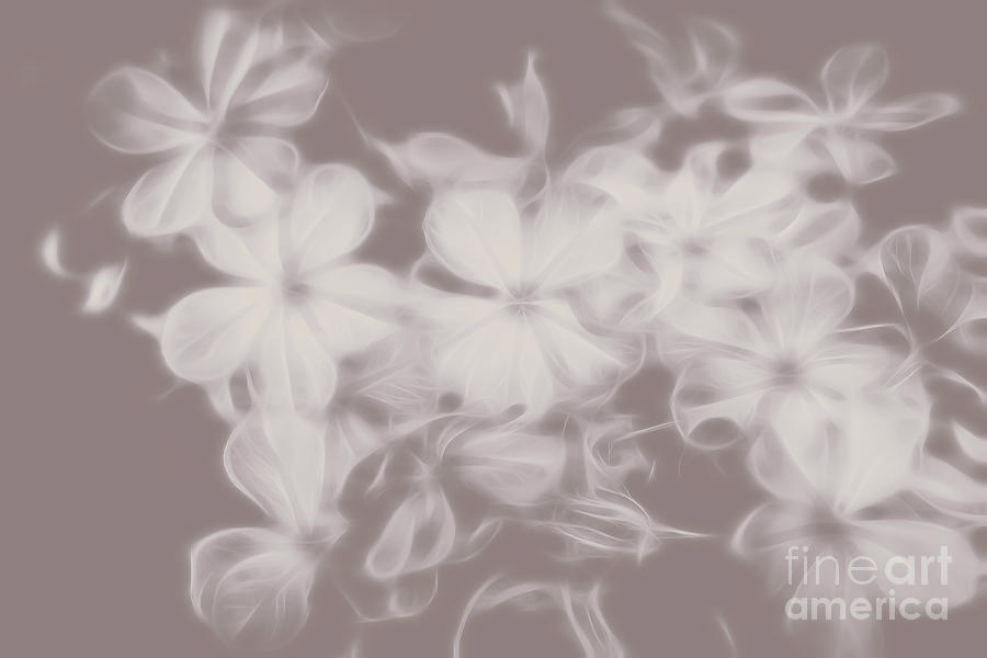 Nature Digital Art - Ghost Flower - Souls in bloom by Jorgo Photography
