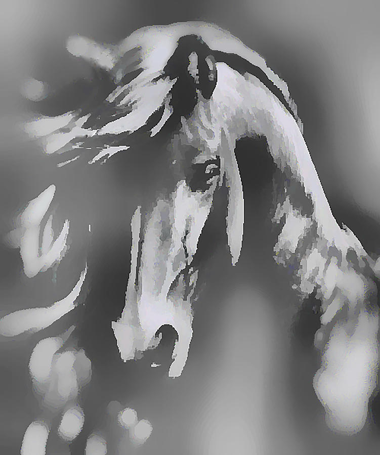 Ghost Horse by Barbara A Lane Ghost Horse by Barbara A Lane