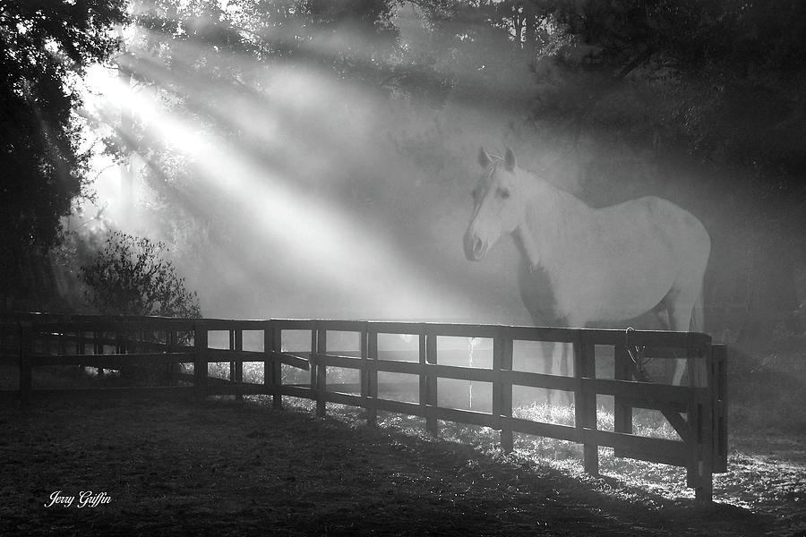 Ghost Horse Photograph by Jerry Griffin