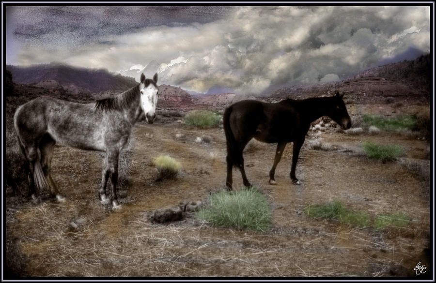 Ghost Horses on a High Plain Photograph by Wayne King Ghost Horses on a High Plain Photograph by Wayne King