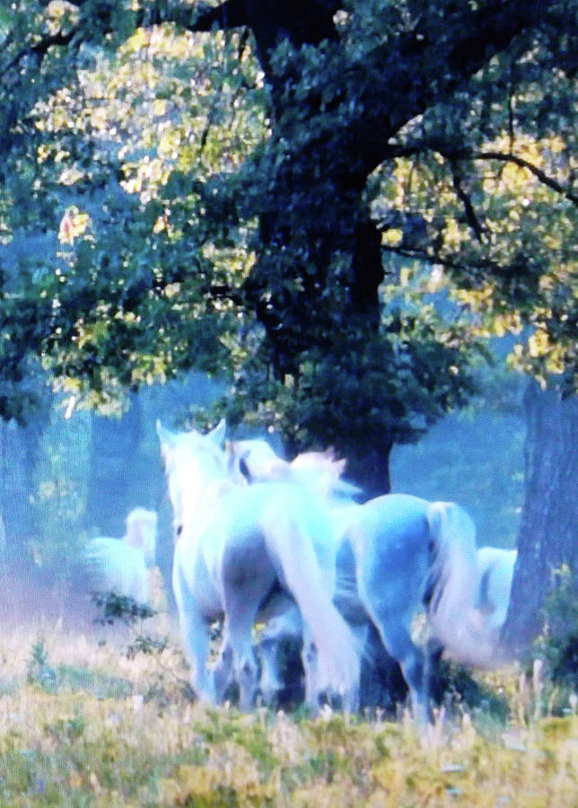 Ghost Horses Digital Art by Susan Esbensen