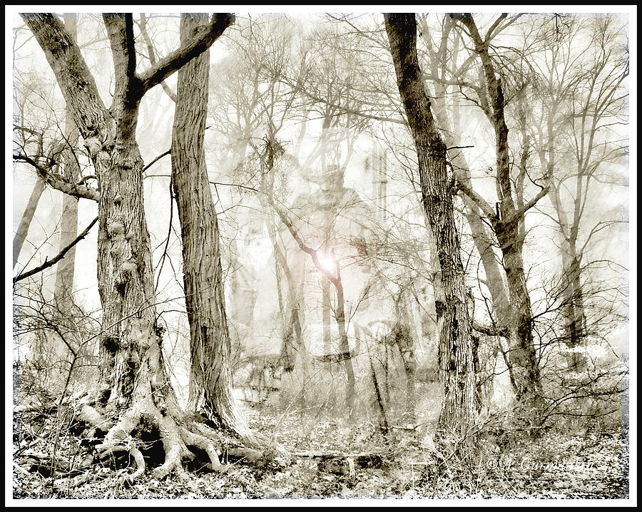 Ghost in a Haunted Forest, Horror Fantasy Digital Art by A Macarthur Gurmankin