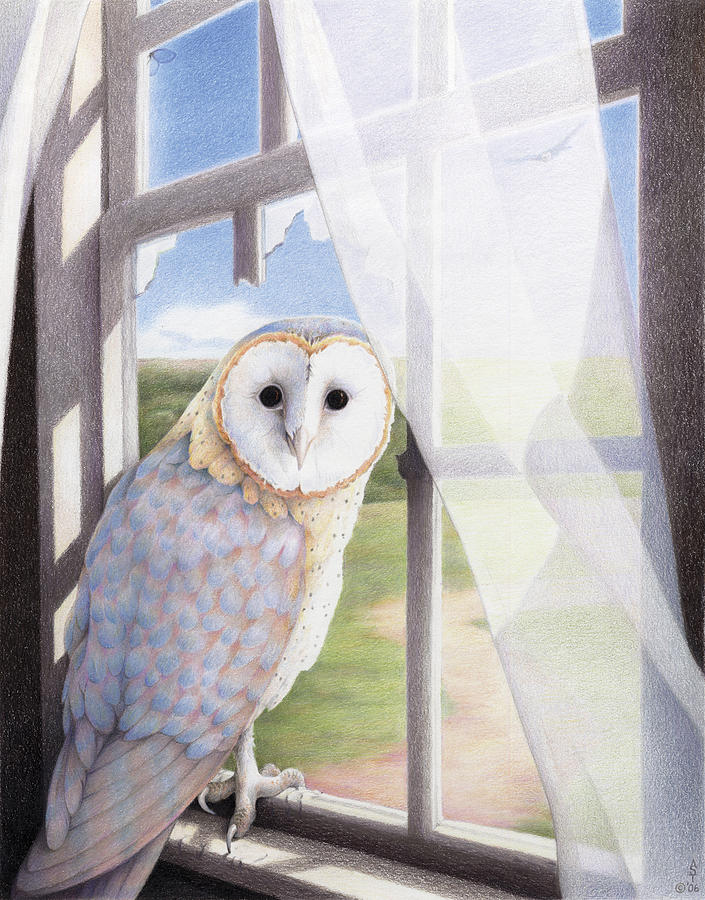 Owl Drawing - Ghost In The Attic by Amy S Turner