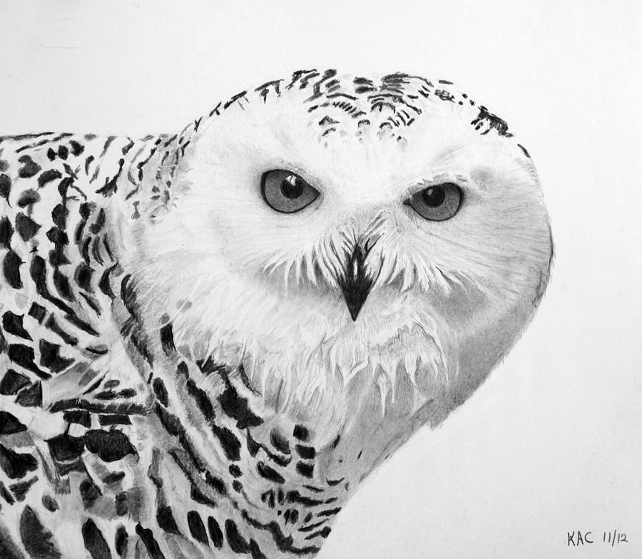 Owl Drawing - Ghost by Kenny Chaffin