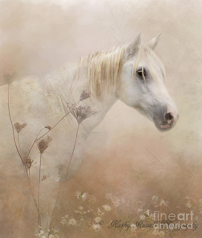 Ghost of an Equine Photograph by Kathy Russell
