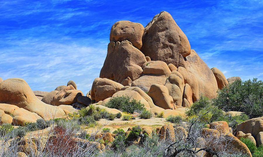 Joshua Tree National Park Photograph - Ghost Rock - Joshua Tree National Park by Glenn McCarthy Art and Photography
