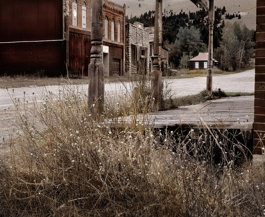 Nature Photograph - Ghost Town 2 by Leland D Howard