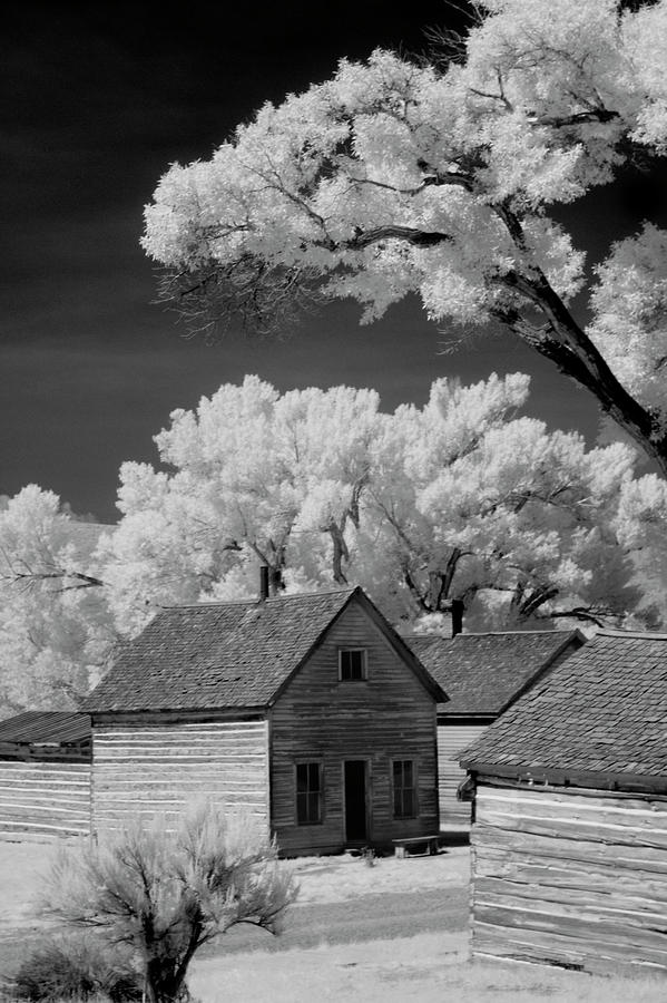 Ghost town Bannack, MT  Photograph by Brian N Duram