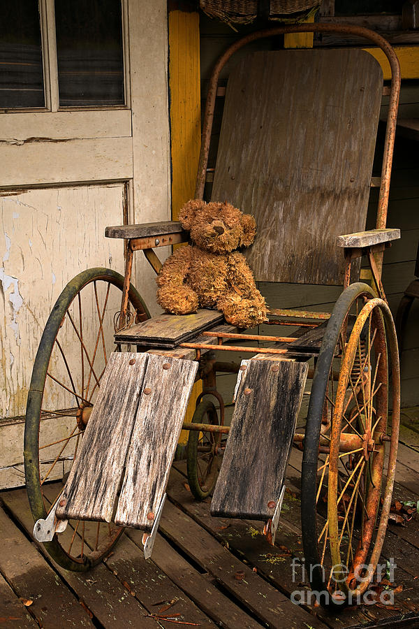 Ghost Town Teddy Photograph by Adam Jewell