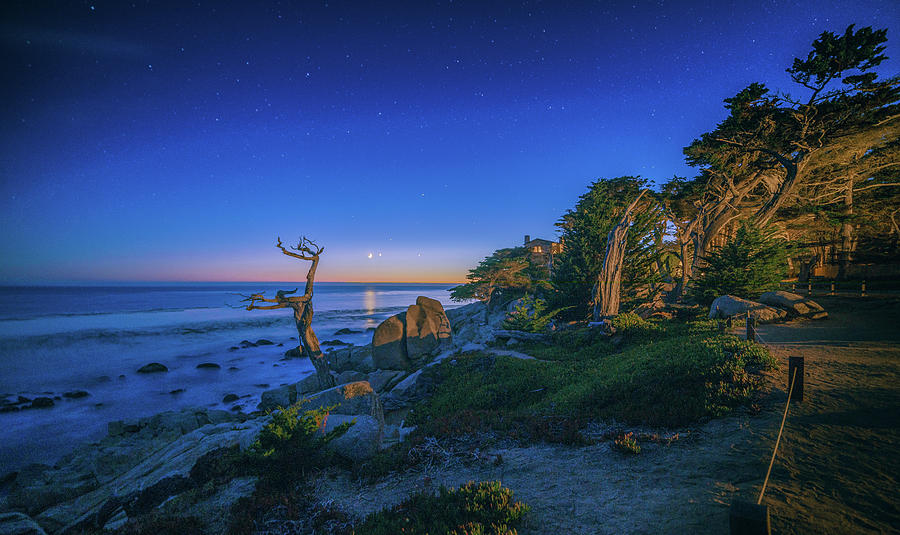 Ghost Tree Photograph by LiveforBlu Gallery - Pixels