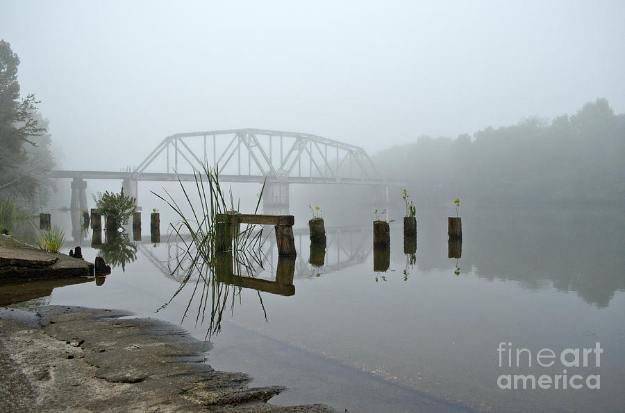 Travel Photograph - Ghostly Fog and Metal Lace by Debra Johnson Travel Photograph - Ghostly Fog and Metal Lace by Debra Johnson