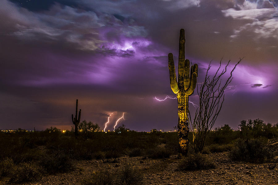 Ghostly Saguaro And Thunderstorm Photograph
