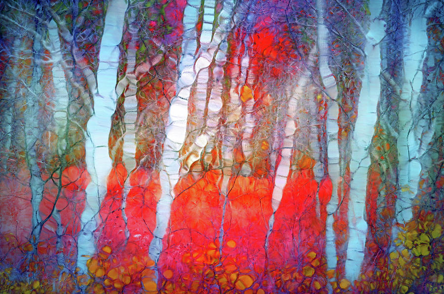 Ghosts in the Autumn Forest Digital Art by Tara Turner