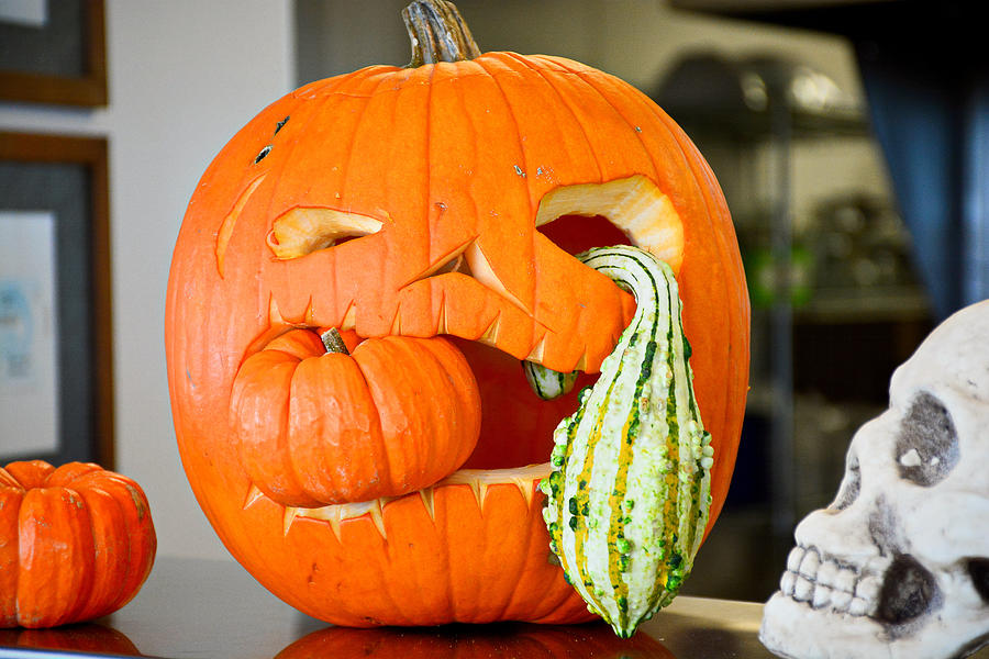 Ghoulish Gourds Photograph by Robert Meyers-Lussier - Fine Art America