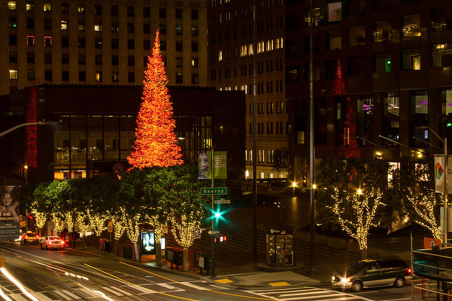 Giannini Plaza Christmas Lights and Tree Photograph by Bonnie Follett