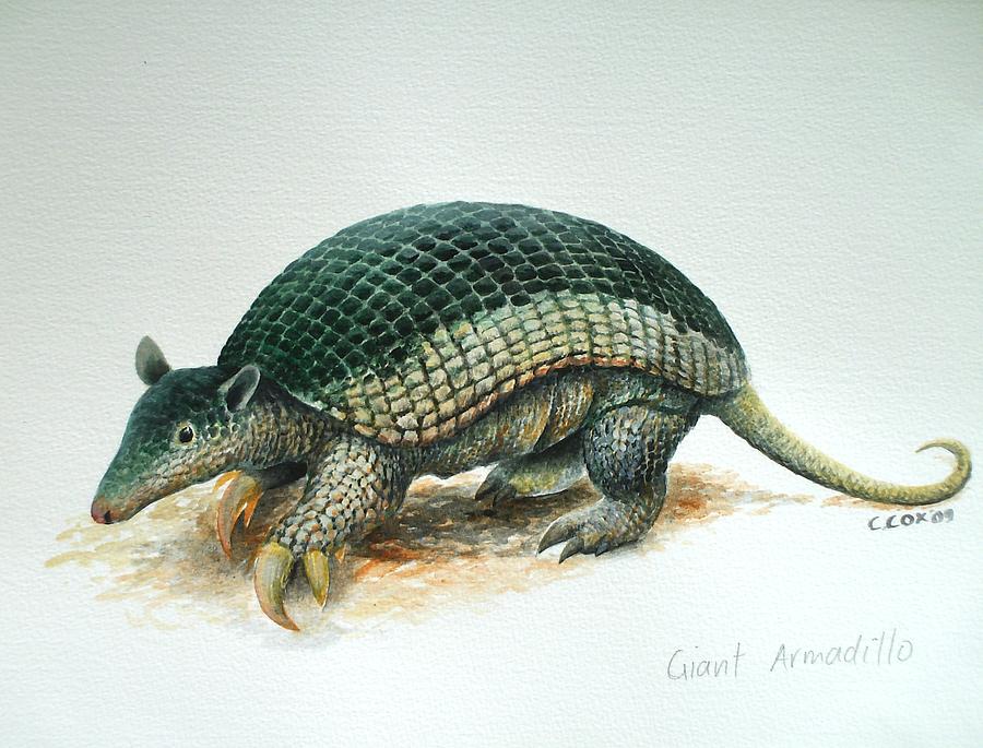 Giant Armadillo Painting by Christopher Cox