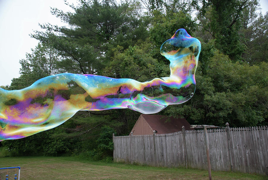 Giant Bubble Dinosaur Photograph by Linda Howes - Pixels