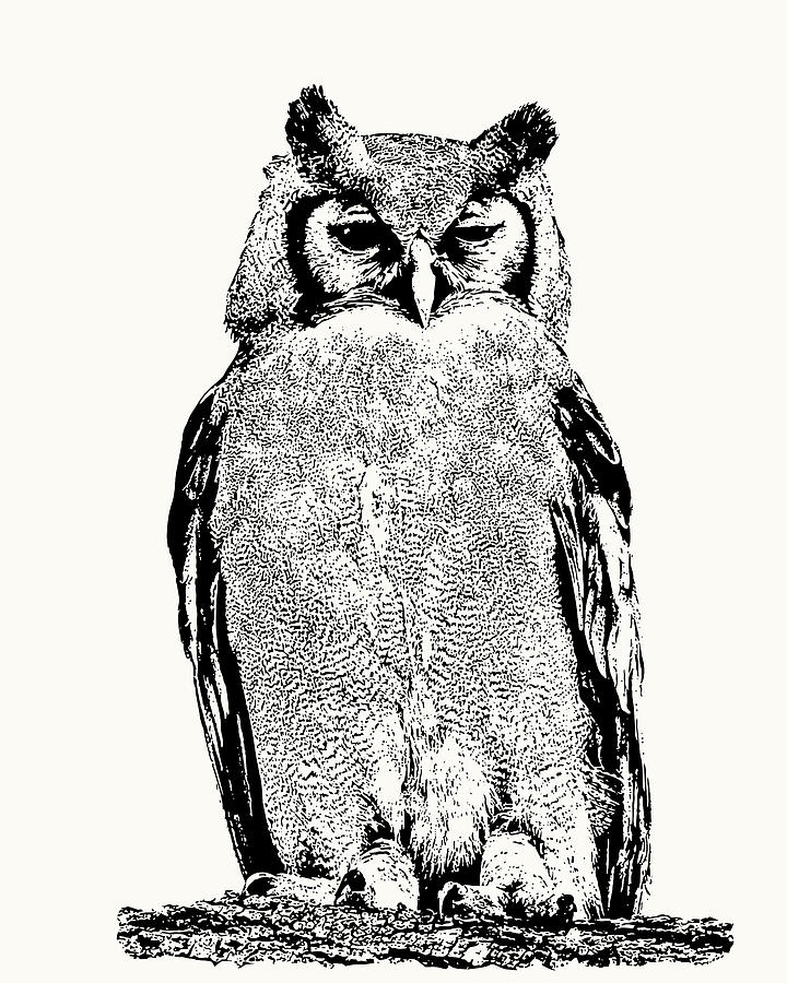 Owl Photograph - Giant Eagle-owl Perching by Scotch Macaskill Owl Photograph - Giant Eagle-owl Perching by Scotch Macaskill