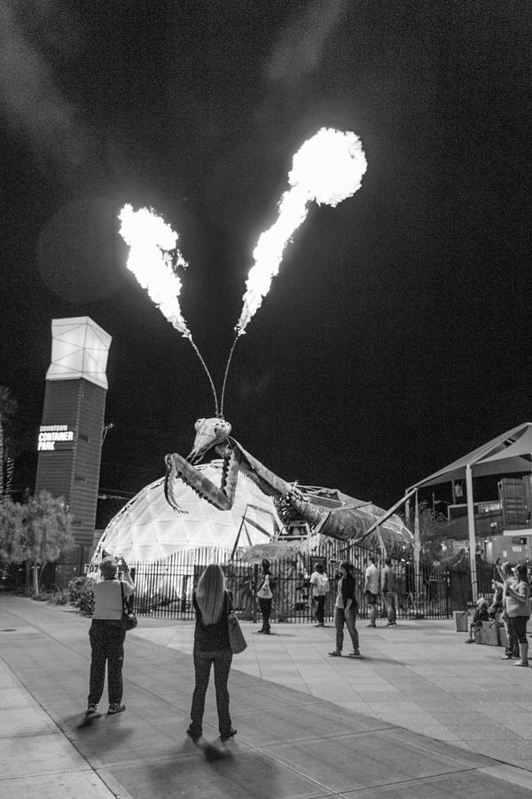 Giant Flamethrowing Praying Mantis Photograph by SR Green
