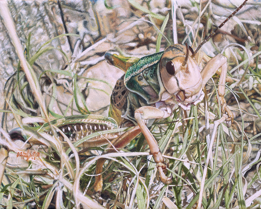 Grasshopper Painting - Giant Grasshopper by Joshua Martin