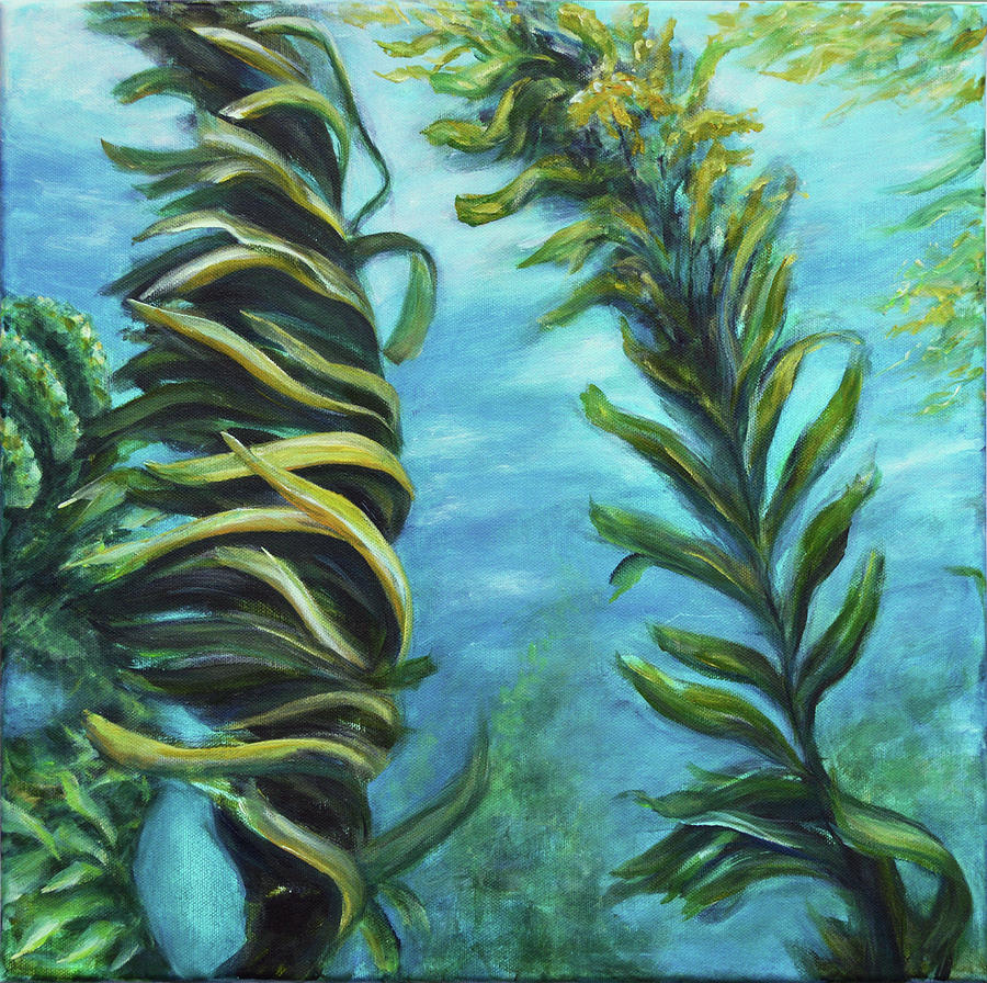 Giant Kelp Painting by Jacqueline Talbot Fine Art America