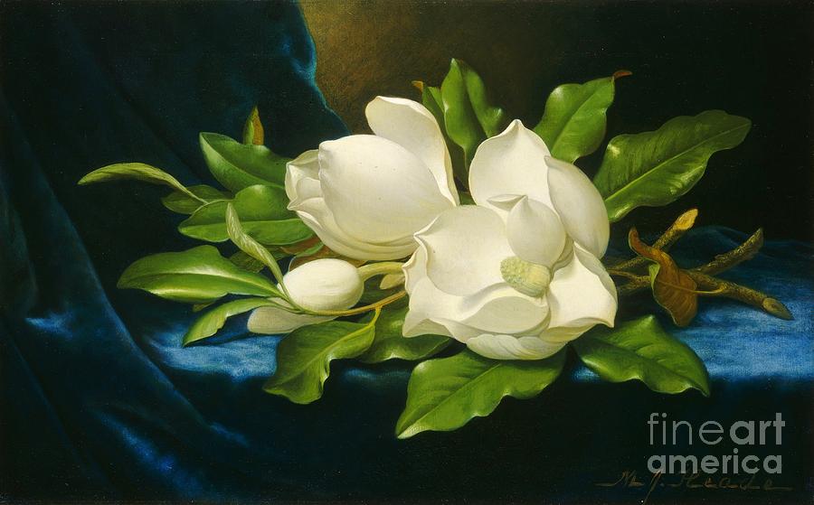 Giant Magnolias on a Blue Velvet Cloth Painting by MotionAge Designs