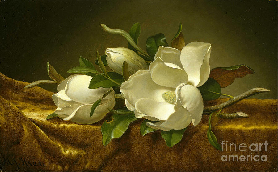 Giant Magnolias on a Cloth Painting by MotionAge Designs