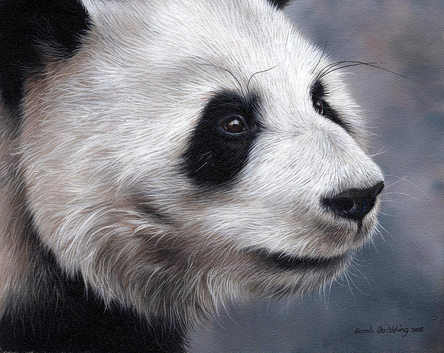 panda reflection painting