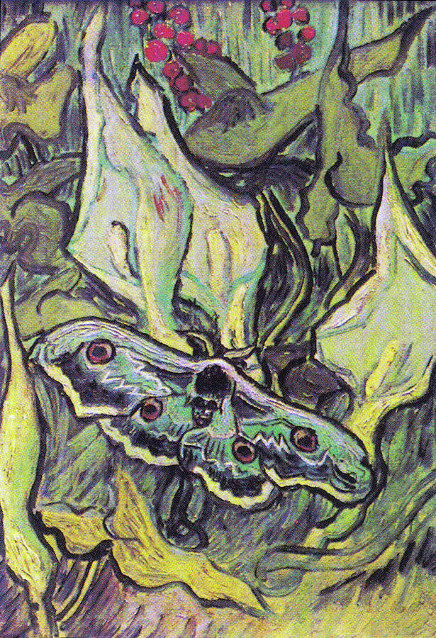Giant Peacock Moth on Arum Painting by Vincent van Gogh