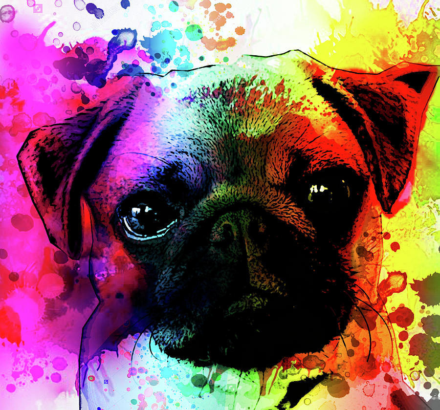 Giant Pug Watercolor Print  Painting by Robert R Splashy Art Abstract Paintings