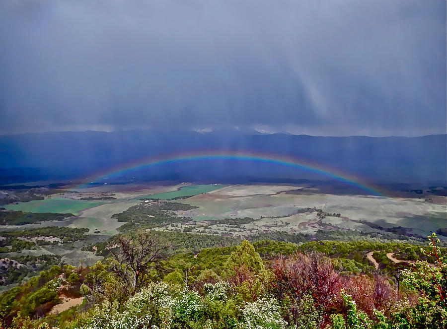 Giant Rainbow Photograph by Don Mercer