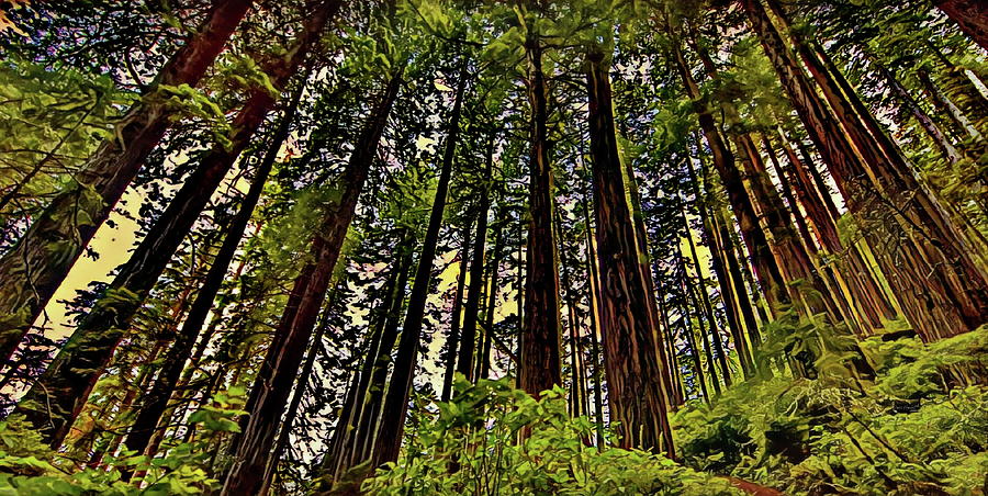 Giant Redwood Forest - Sequoia Digital Art by Russ Harris