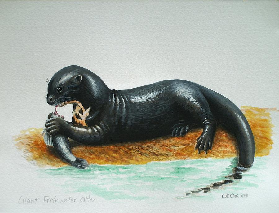 Giant River Otter Painting by Christopher Cox