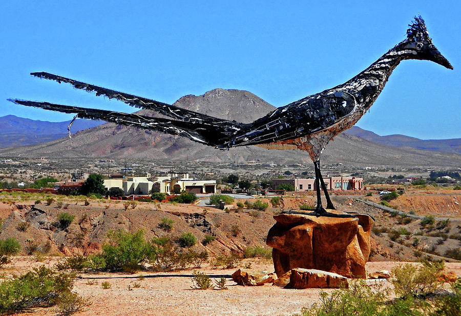 Giant Roadrunner 2 Photograph by Ron Kandt