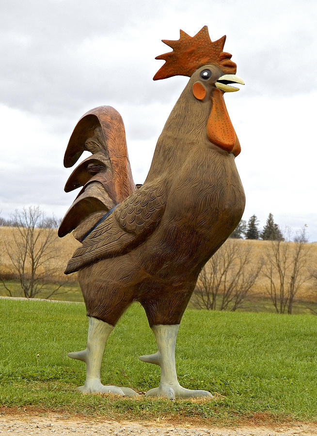 Giant Rooster Photograph by Thomas Firak