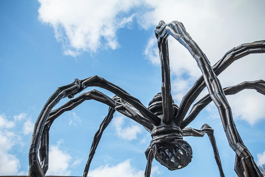 Giant Spiders of Crystal Bridges Photograph by Steven Bateson