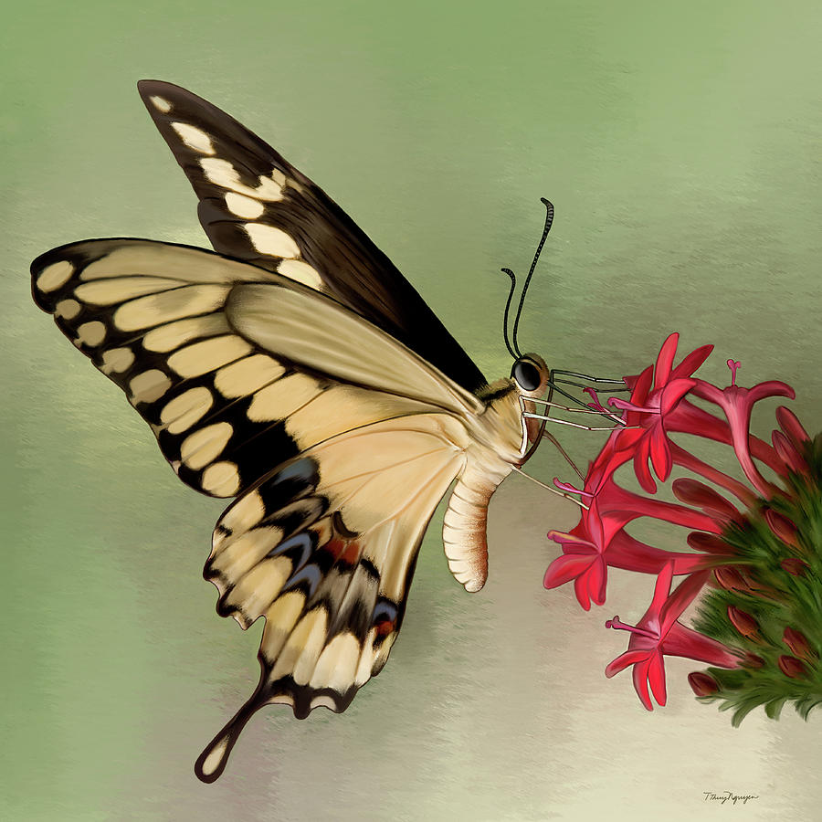 Giant Swallowtail butterfly  Digital Art by Thanh Thuy Nguyen